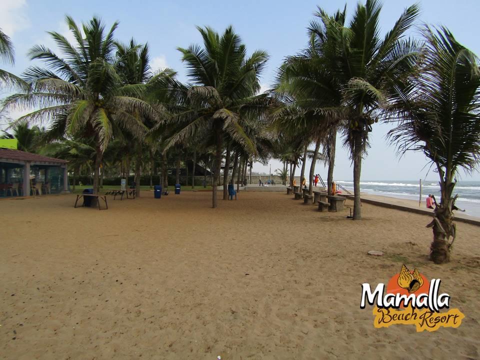 Mamalla Beach Resort Махабалипурам Экстерьер фото